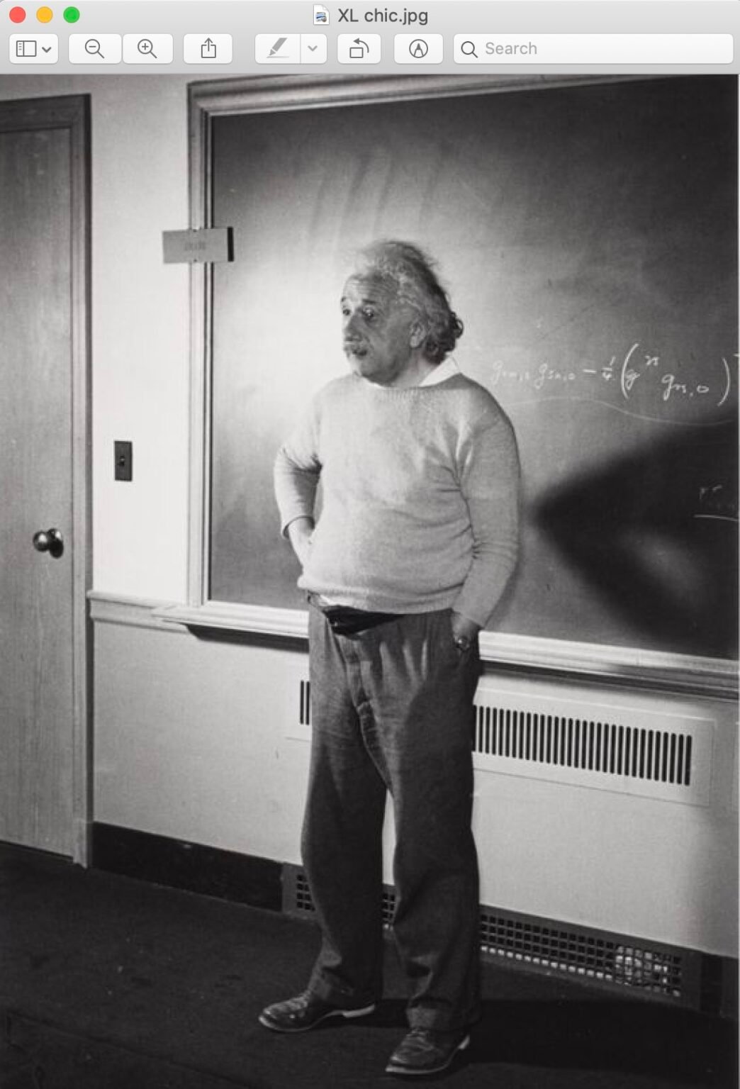 Overlooked fashion icon: Albert Einstein - 1 Granary